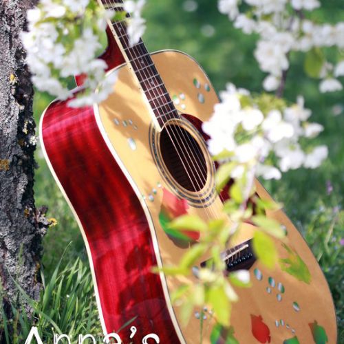 Anna's guitar